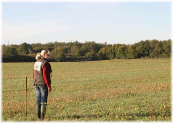 Elevage du CLOS DE LA LUETTE - COPYRIGHT DEPOSE